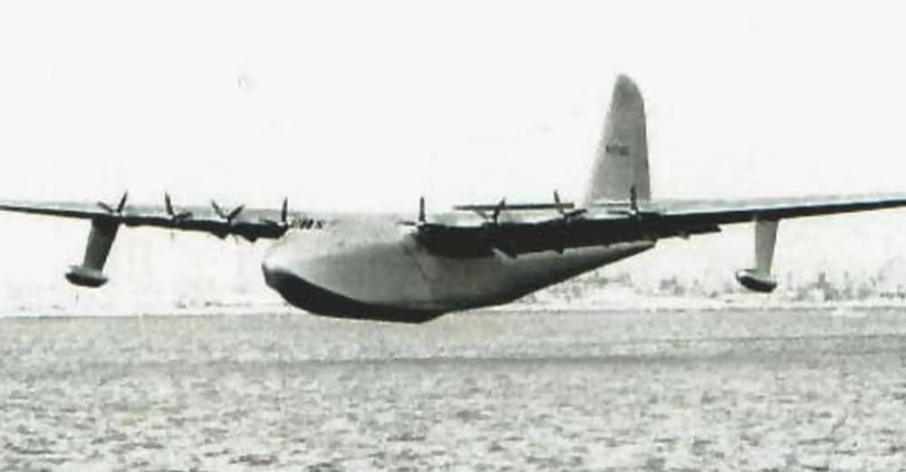 Sprucegoose copy