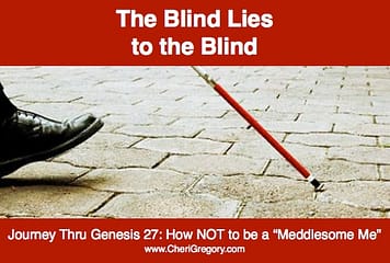 Blind Lies to Blind IMAGE