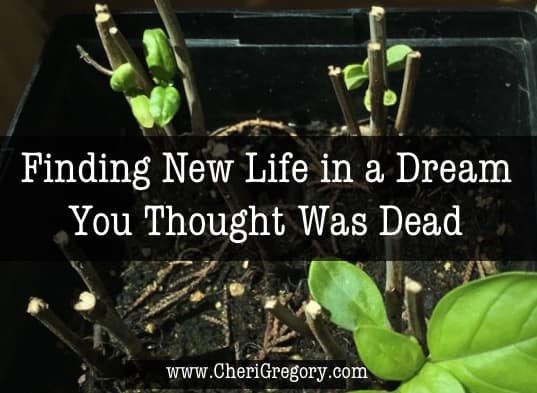 Finding New Life in a Dream You Thought Was Dead