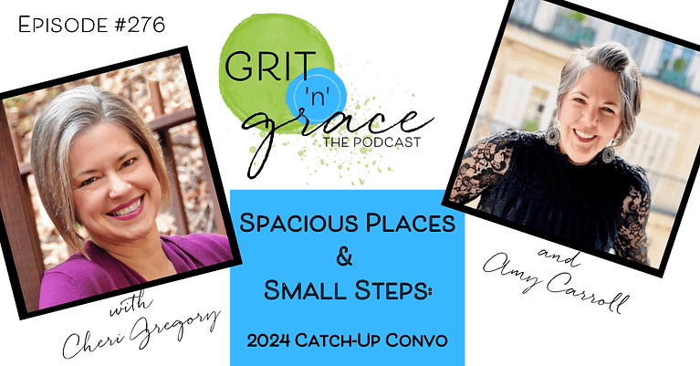 Episode #276: Spacious Places & Small Steps: Catch-Up Convo 2024