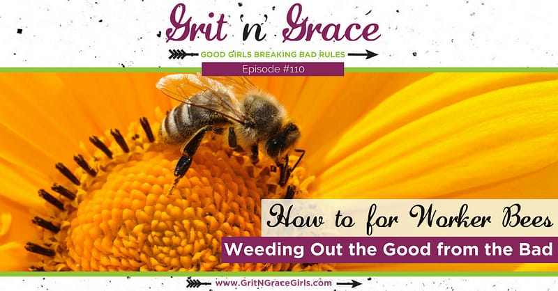 How-To for Worker Bees — Weeding Out the Good from the Bad — Martha Martha