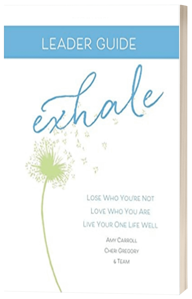 Leader Guide 3D Cover