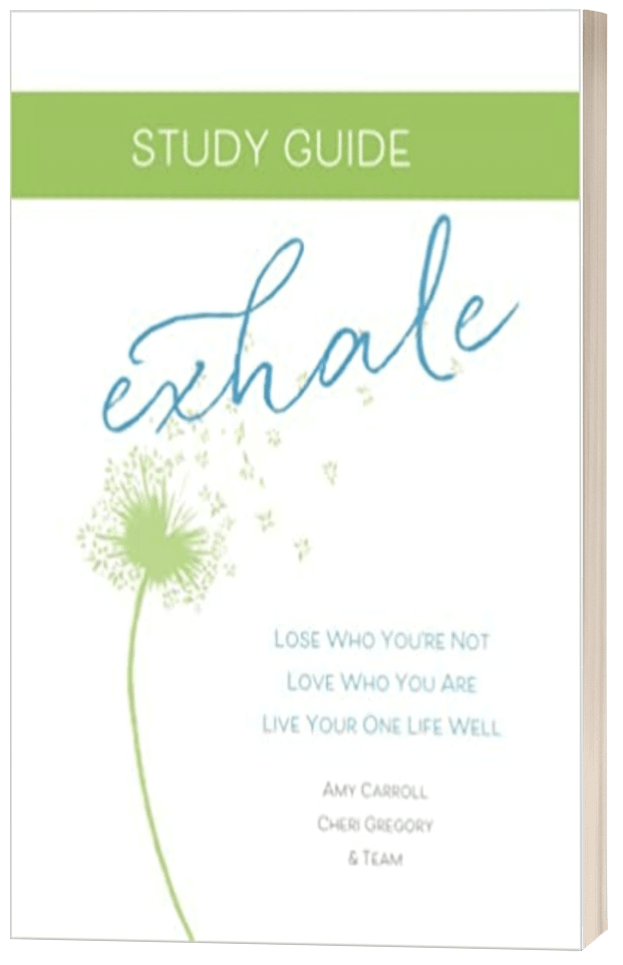 Study Guide 3D Cover