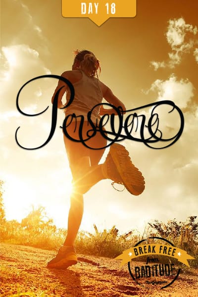 Day-18-Persevere
