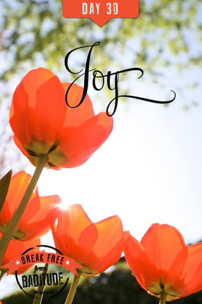 Day-30-Joy